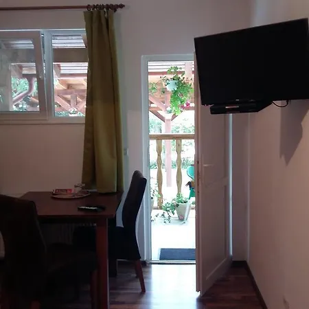 Guest house Pensiunea Caraiman Servicii De 3*