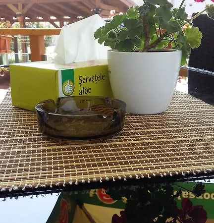 Pensiunea Caraiman Servicii De Guest house